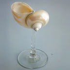 Elegant Drinking Glasses with Natural Shell Stem – Coastal Cocktail and Champagne Glassware 0
