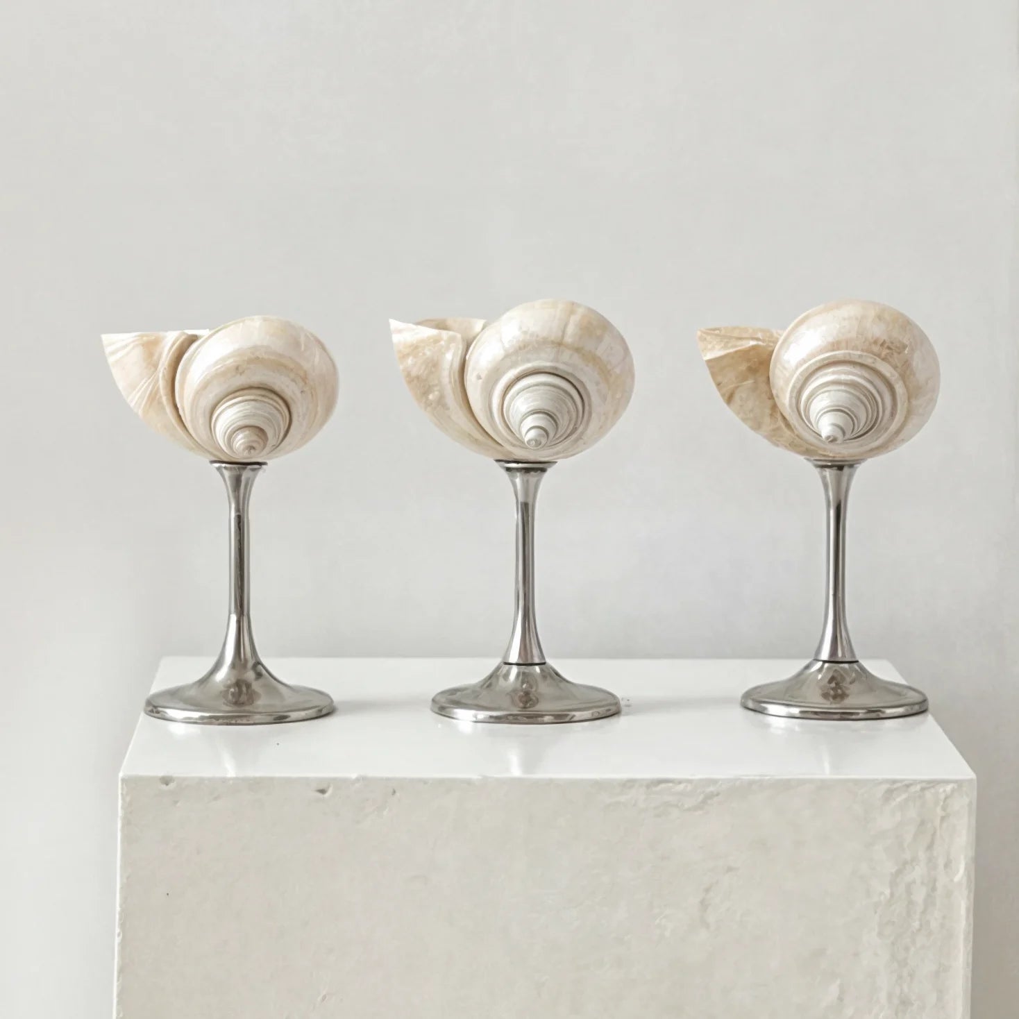 Elegant Drinking Glasses with Natural Shell Stem – Coastal Cocktail and Champagne Glassware 1