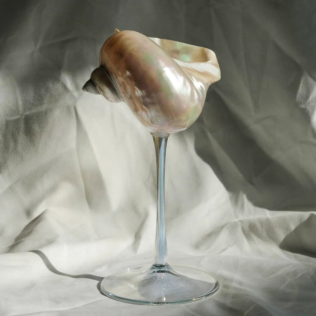Elegant Drinking Glasses with Natural Shell Stem – Coastal Cocktail and Champagne Glassware 6