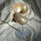 Elegant Drinking Glasses with Natural Shell Stem – Coastal Cocktail and Champagne Glassware 8