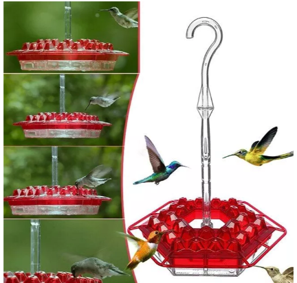 Hummingbird Feeder with Ant Moat and 30 Feeding Ports 4
