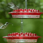 Hummingbird Feeder with Ant Moat and 30 Feeding Ports 5