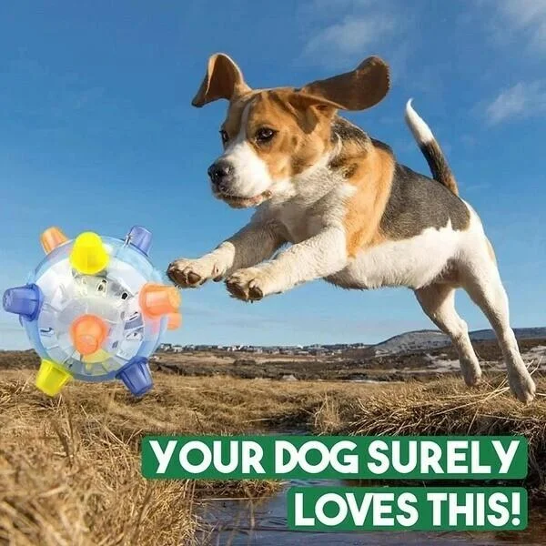 Interactive Jumping Dog Toy Ball with LED Lights for Playtime 2
