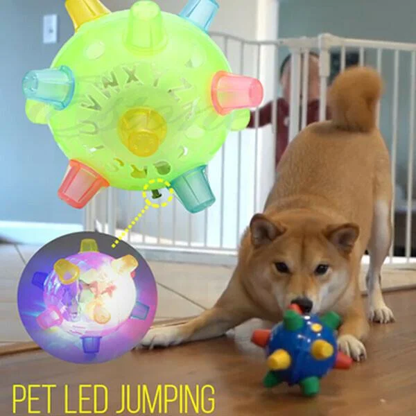 Interactive Jumping Dog Toy Ball with LED Lights for Playtime 4