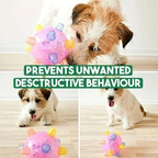 Interactive Jumping Dog Toy Ball with LED Lights for Playtime 5
