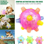 Interactive Jumping Dog Toy Ball with LED Lights for Playtime 6