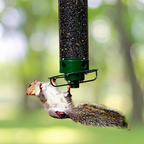 Squirrel Proof Bird Feeder in Metal with Rotating Perch for Garden 0