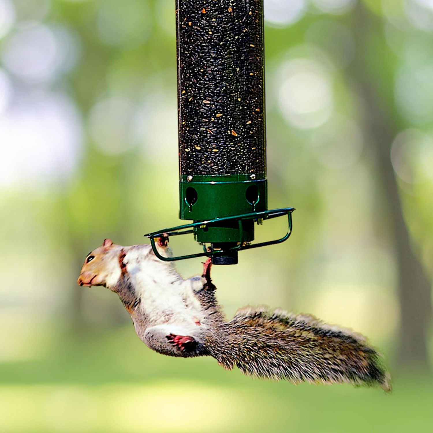 Squirrel Proof Bird Feeder in Metal with Rotating Perch for Garden 0