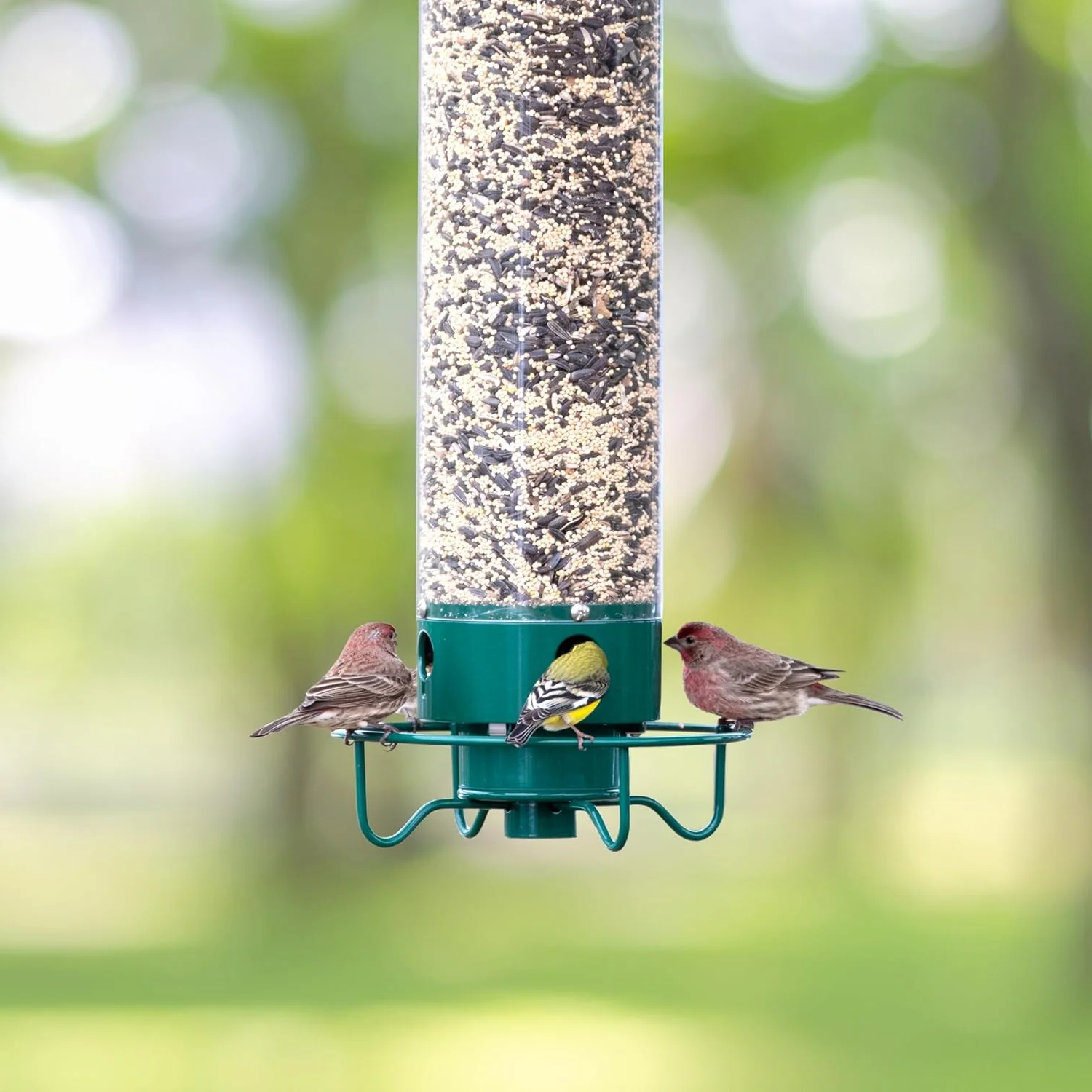 Squirrel Proof Bird Feeder in Metal with Rotating Perch for Garden 5